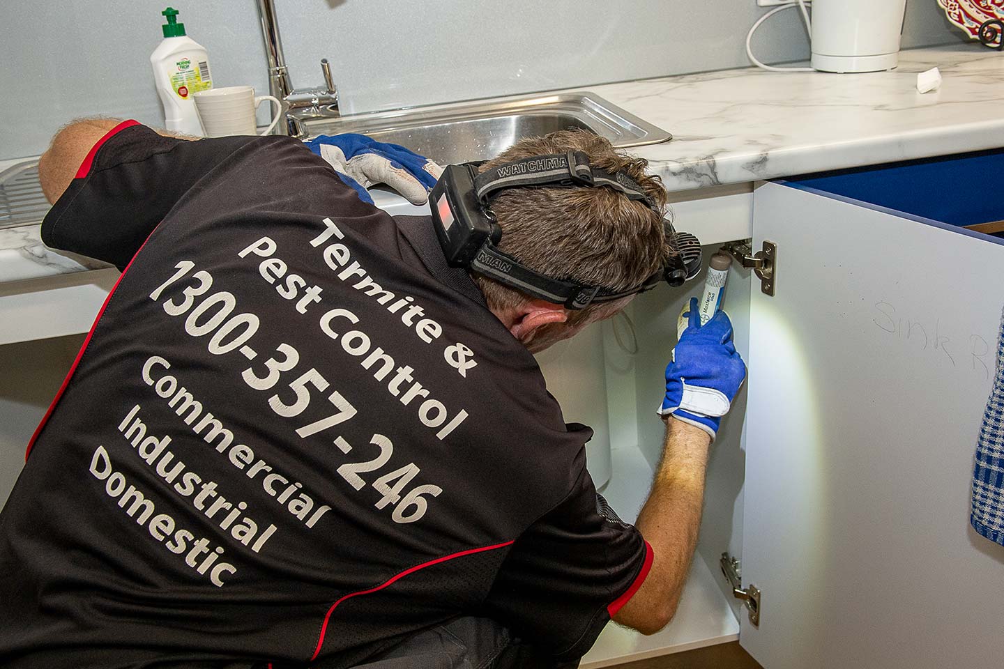 Control Pest Management Pest Control Pest Control Gold Coast Brisbane