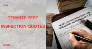 How much does a termite inspection cost