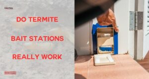 Effectiveness of Termite Baiting Stations