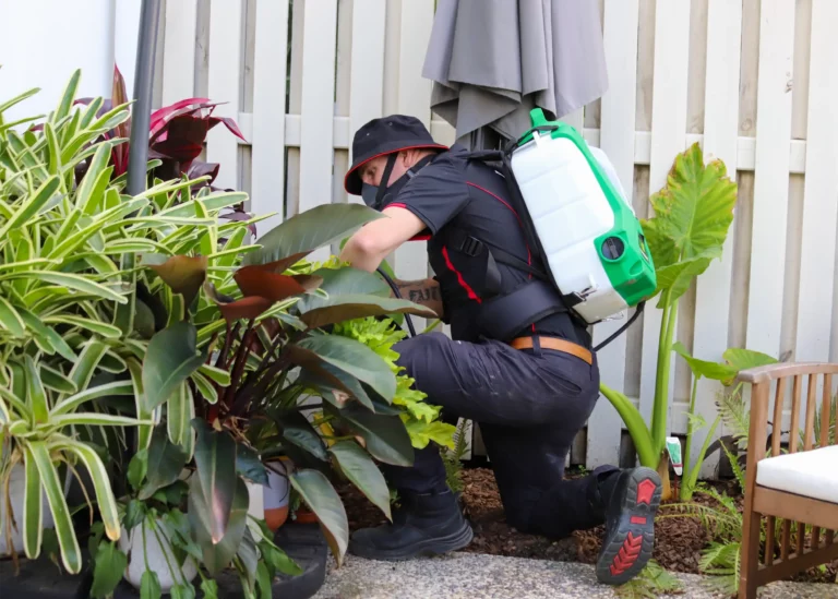 Friendly, Professional, Reliable and Punctual Pest Control Brisbane